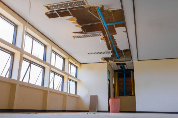 Best Professional water damage repair  in Ilco, WA