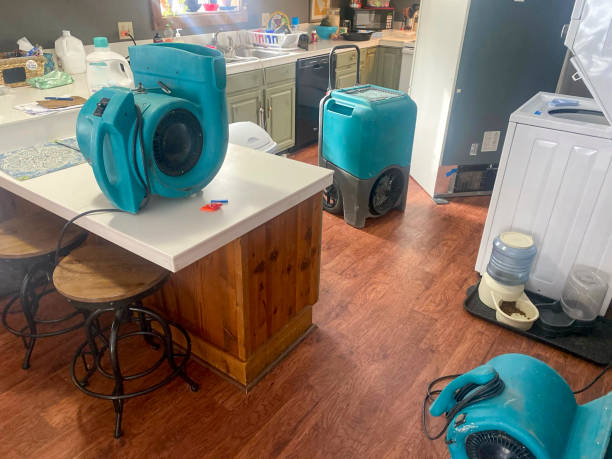 Best Water damage restoration mold remediation  in Ilco, WA