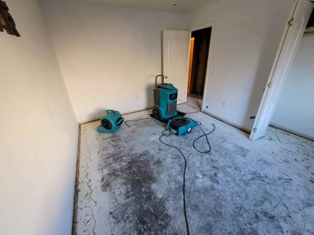 Best 24-hour water damage restoration  in Ilco, WA
