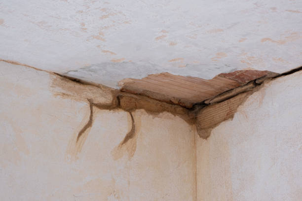 Best Fire Damage Restoration  in Ilco, WA