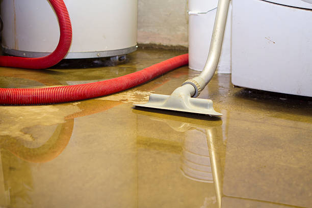 Best Flood damage cleanup  in Ilco, WA