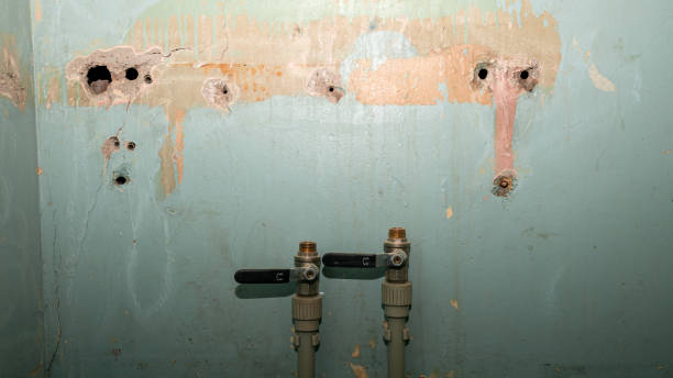 Best Water damage restoration process  in Ilco, WA