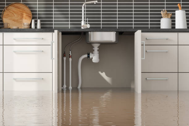 Reliable Ilwaco, WA Water damage restoration Solutions